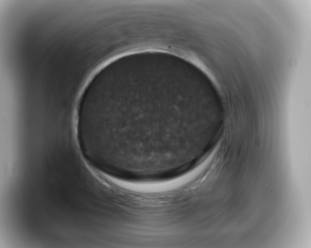 X0000099991508200805231442