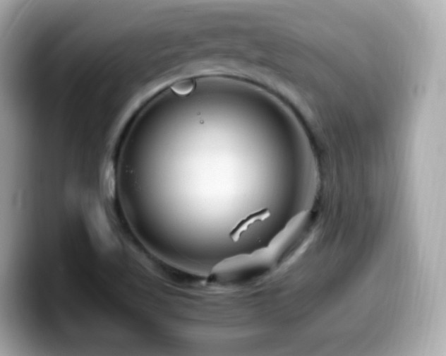 X0000099991509200805231442