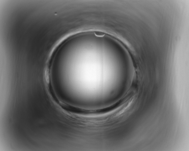 X0000099991510200805231442