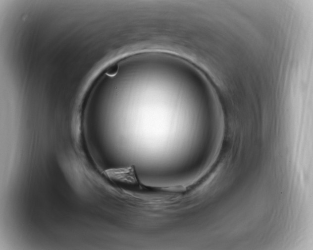 X0000099991511200805231442