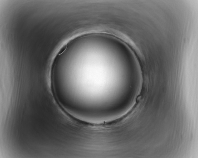 X0000099991512200805231442