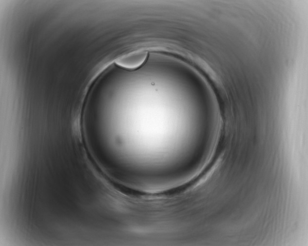 X0000099991513200805231442
