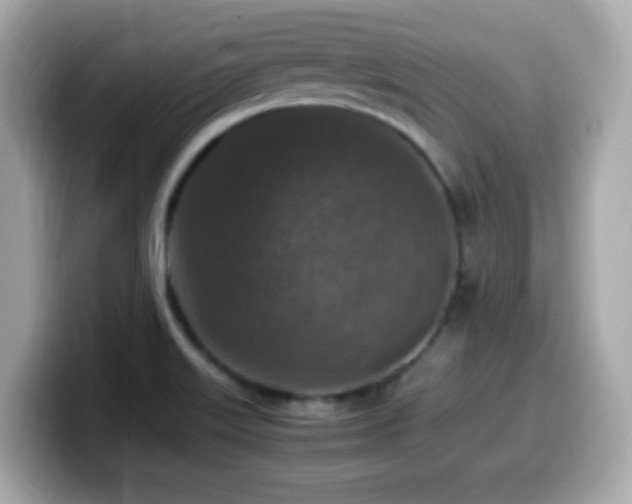 X0000099991515200805231442