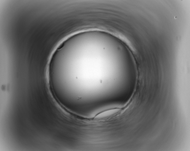 X0000099991516200805231442