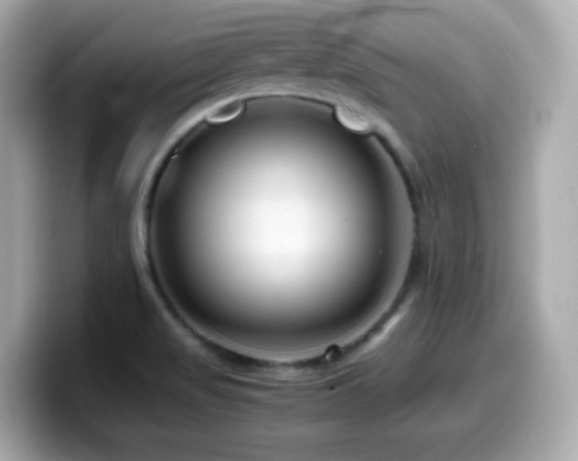 X0000099991517200805231442