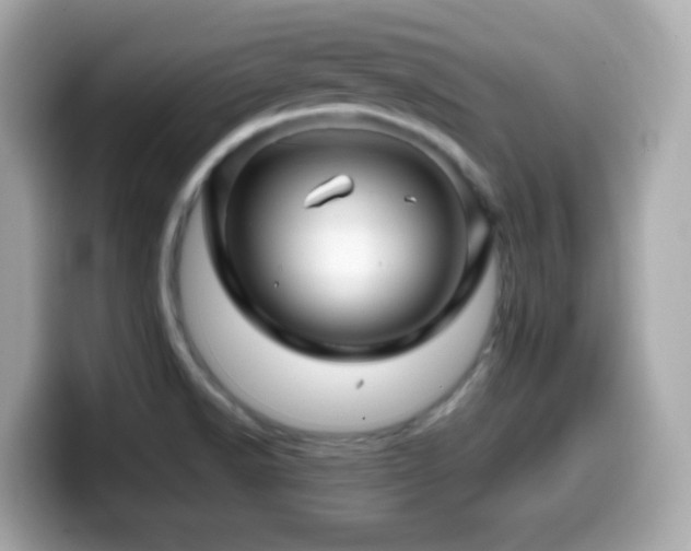X0000099991518200805231442