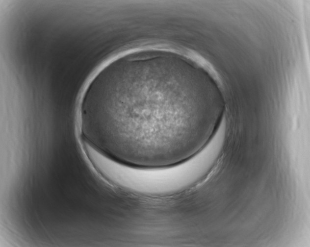 X0000099991520200805231442