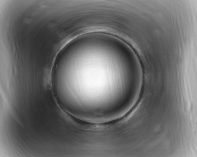 X0000099991521200805231442