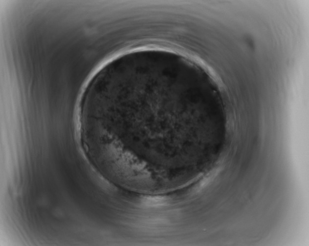 X0000099991522200805231442