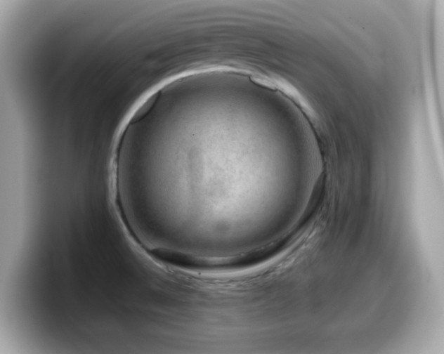 X0000099991524200805231442