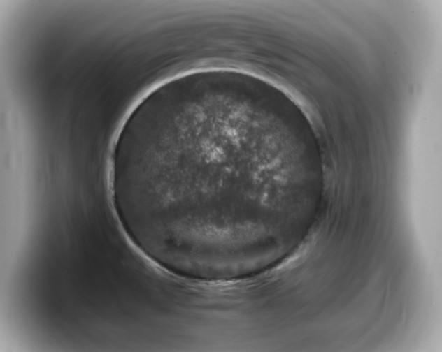 X0000099991527200805231442