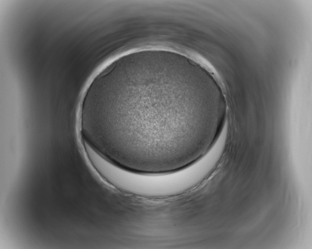 X0000099991528200805231442