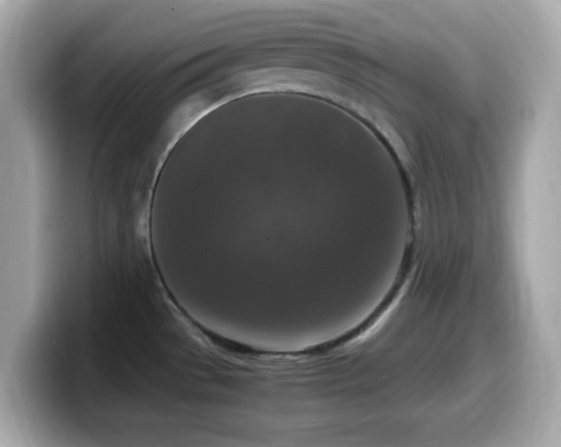 X0000099991529200805231442