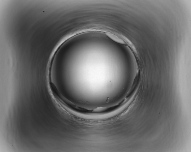 X0000099991530200805231442