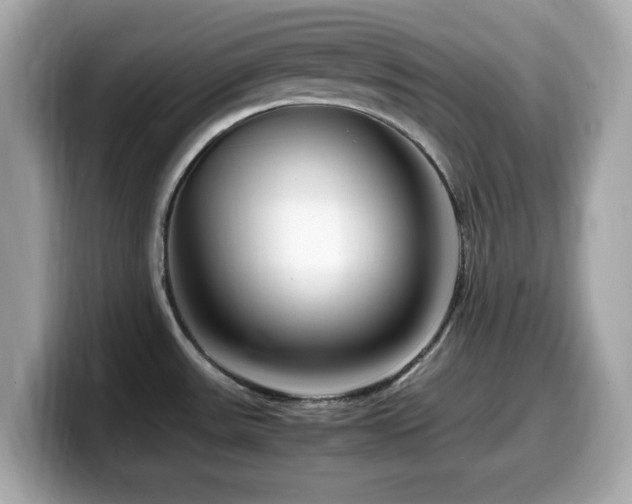 X0000099991531200805231442