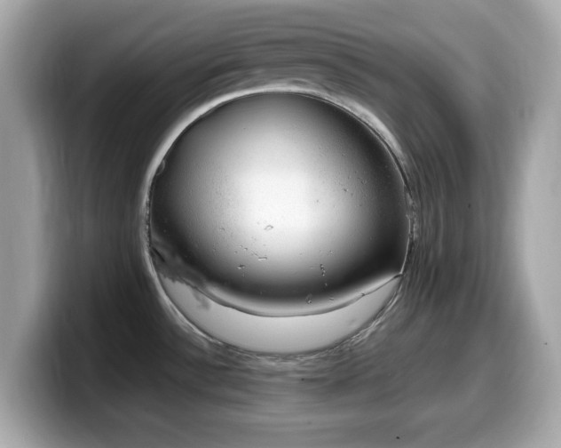 X0000099991532200805231442