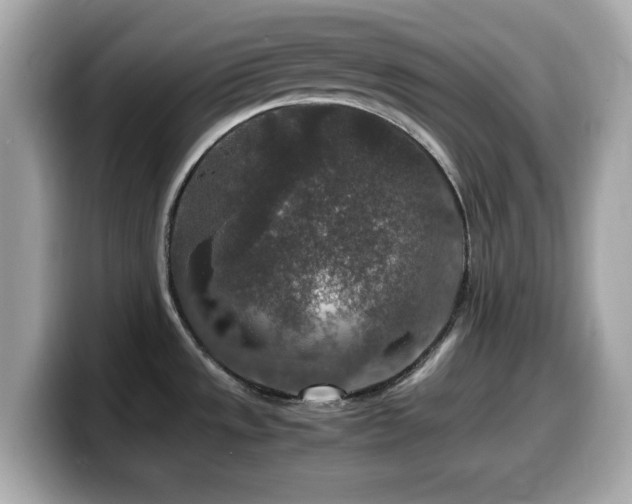 X0000099991533200805231442