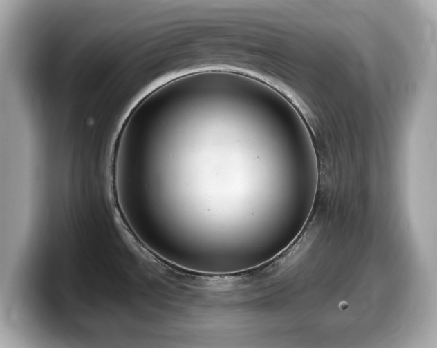 X0000099991534200805231442