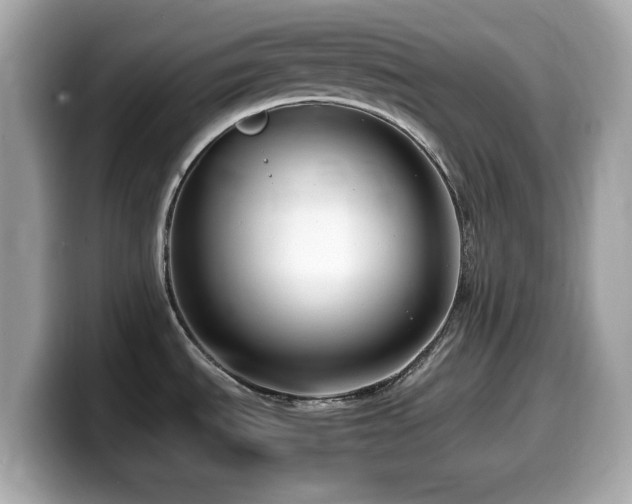 X0000099991535200805231442