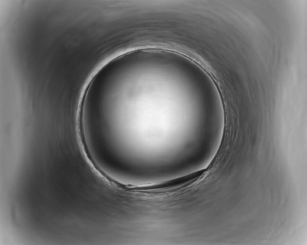 X0000099991536200805231442