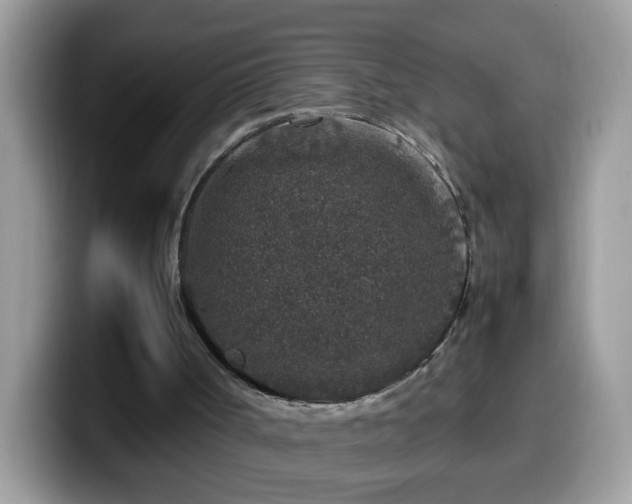X0000099990002200805301422