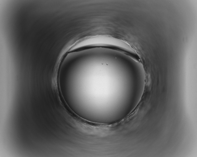 X0000099990004200805301422