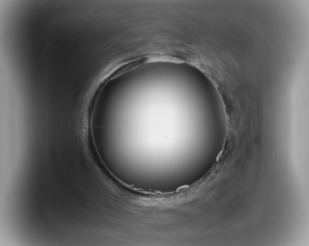X0000099990005200805301422