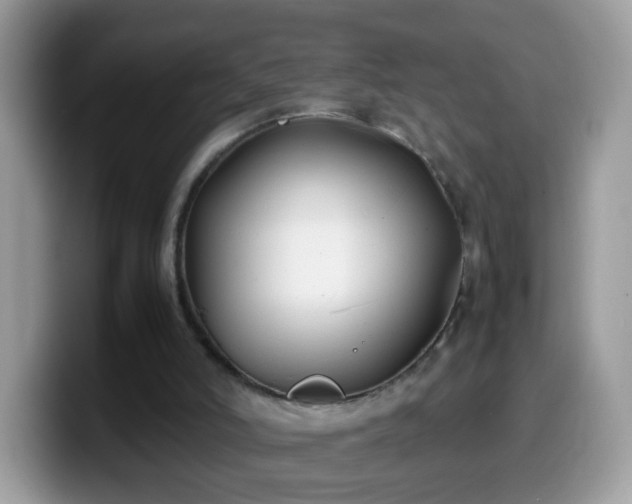 X0000099990006200805301422
