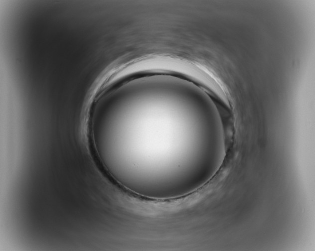 X0000099990007200805301422