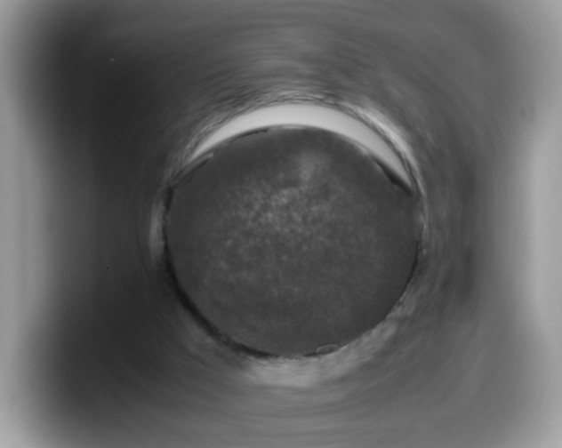 X0000099990009200805301422