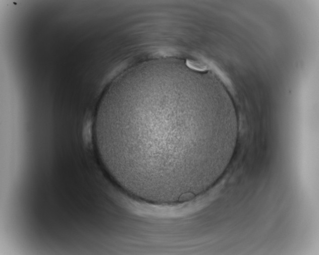 X0000099990010200805301422