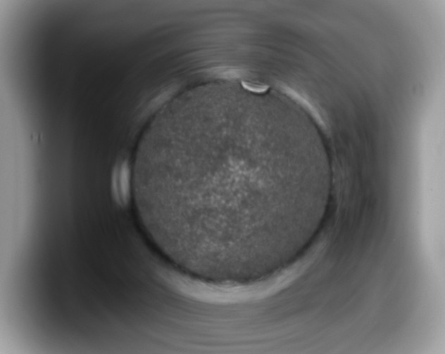X0000099990014200805301422