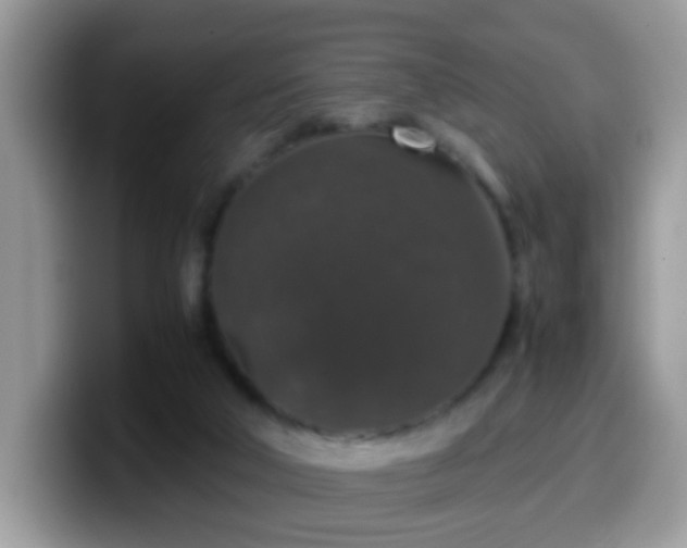 X0000099990018200805301422