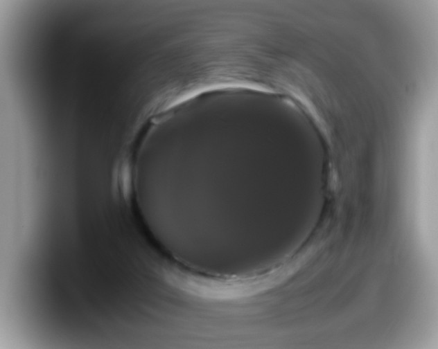 X0000099990019200805301422