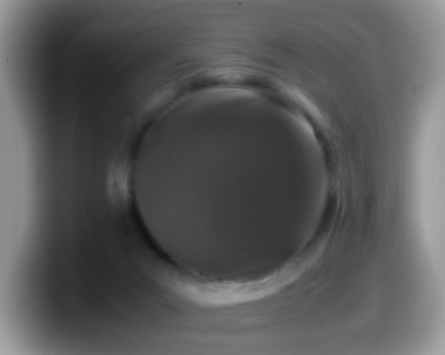 X0000099990023200805301422