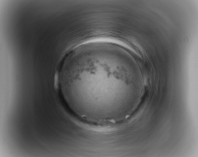 X0000099990024200805301422