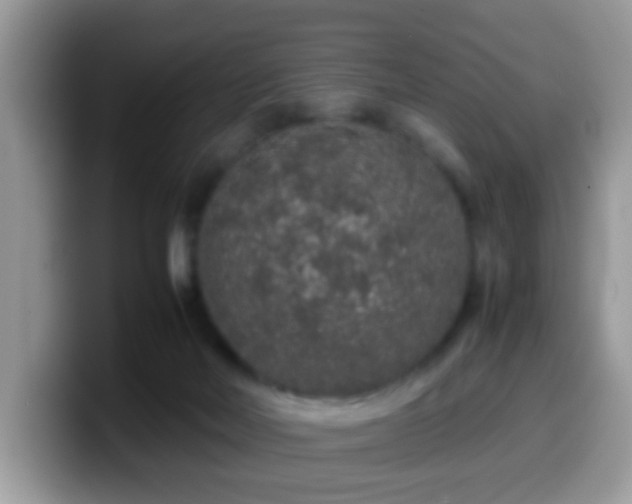 X0000099990026200805301422