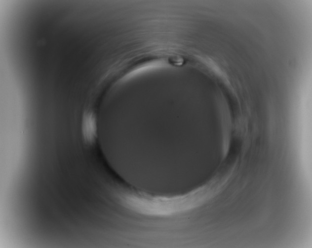 X0000099990027200805301422
