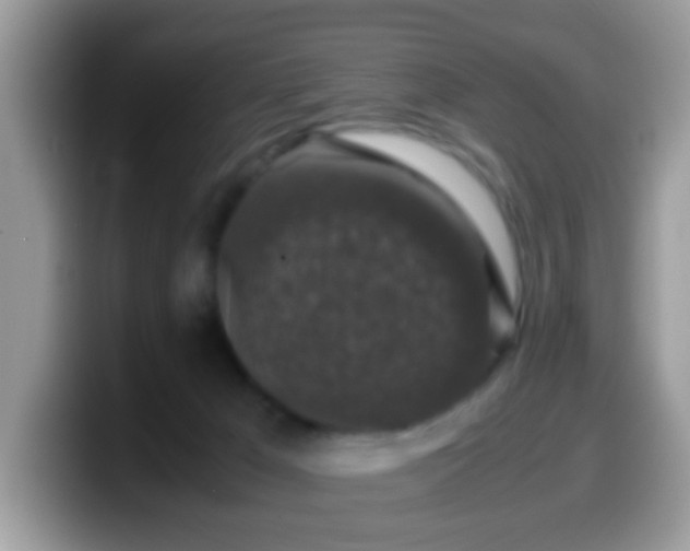 X0000099990029200805301422