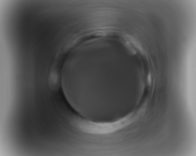 X0000099990031200805301422