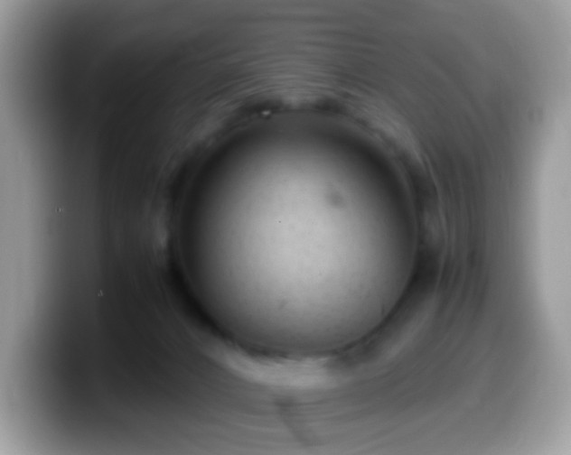 X0000099990032200805301422