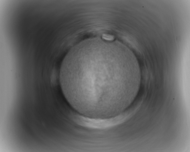X0000099990034200805301422