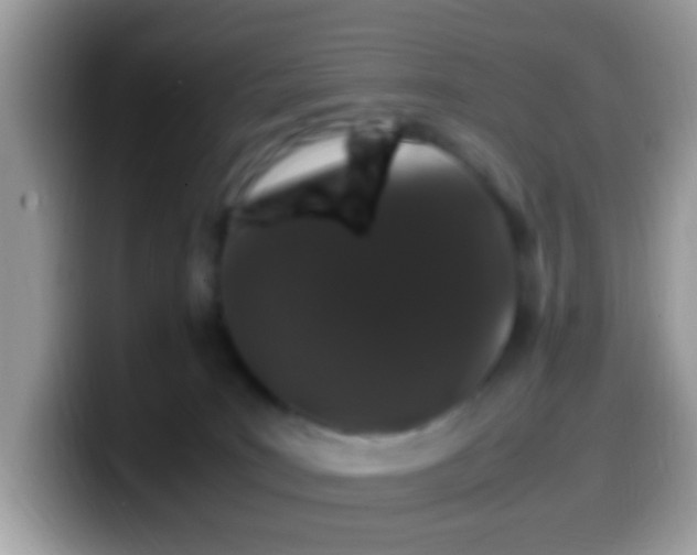 X0000099990035200805301422