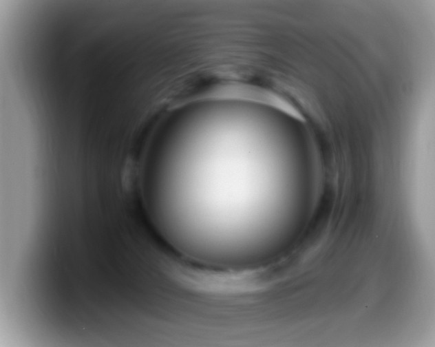 X0000099990036200805301422