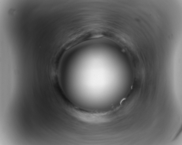 X0000099990040200805301422