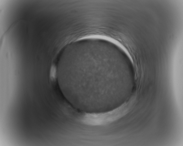 X0000099990041200805301422