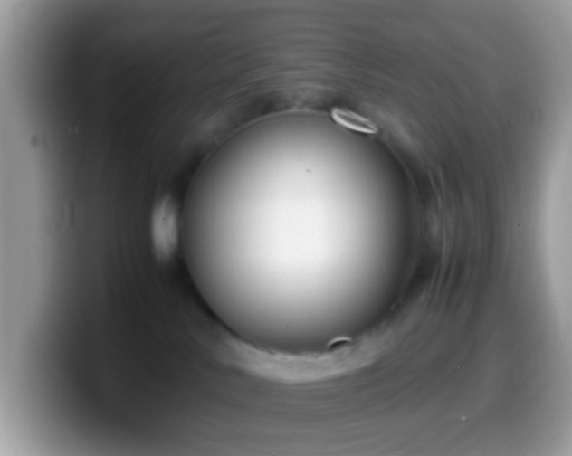 X0000099990042200805301422
