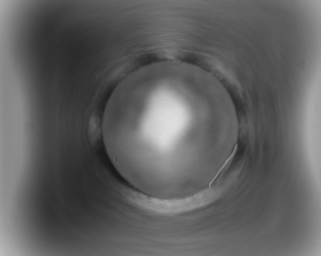 X0000099990043200805301422