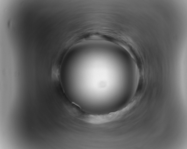 X0000099990045200805301422