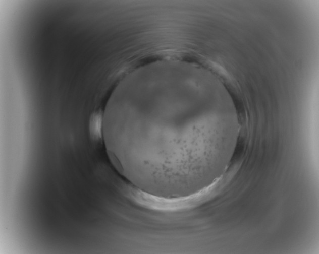 X0000099990047200805301421